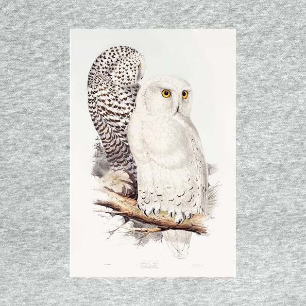 White Owl by GSDESIGNN